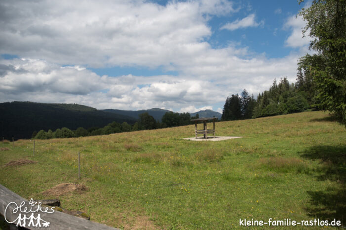 Enttäuscht im Nationalparkzentrum bayrischer Wald
