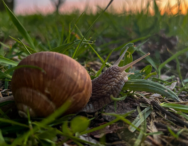 Ein paar Bilder aus der Natur Teil 1