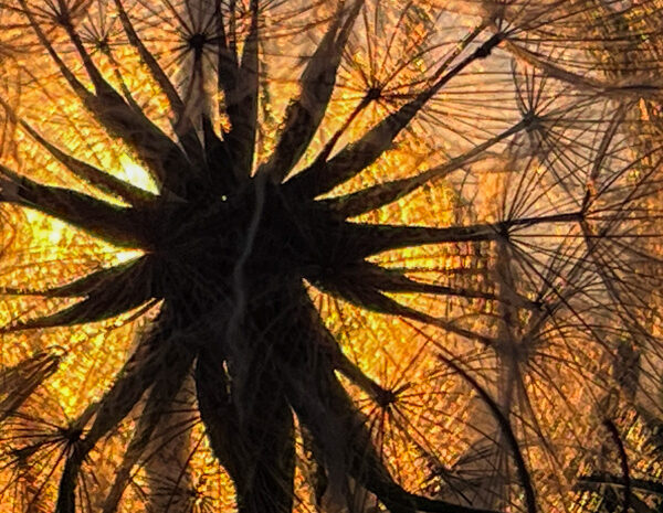 Ein paar Bilder aus der Nature Teil 3